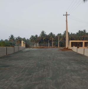Project Images