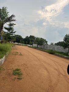 Project Image of 1350.0 - 4500.0 Sq.ft Residential Plot Plot for buy in Indo Qatar Srinivasam