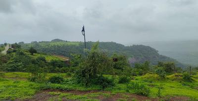 Mahamum Plots In Pen Plot 1