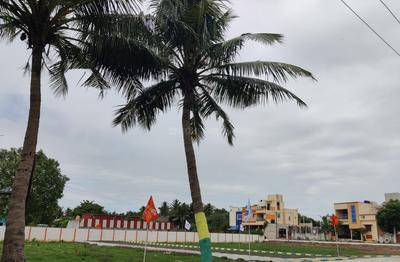 Project Image of 1272.0 - 1700.0 Sq.ft Residential Plot Plot for buy in MS Velan Nagar