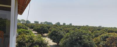 Project Image of 0.0 - 5445.0 Sq.ft Residential Plot Plot for buy in Vision Aashritha Mango Garden