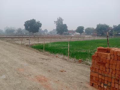Project Image of 800.0 - 2000.0 Sq.ft Residential Plot Plot for buy in Bargad Sarju Vihar