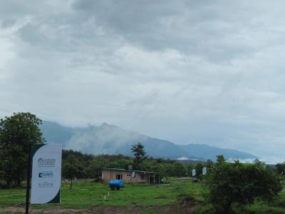 Project Image of 1026.0 - 6741.0 Sq.ft Residential Plot Plot for buy in Platinum Township
