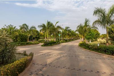 Project Image of 3045.0 - 6000.0 Sq.ft Residential Plot Plot for buy in Goyal Orchid Nirvana