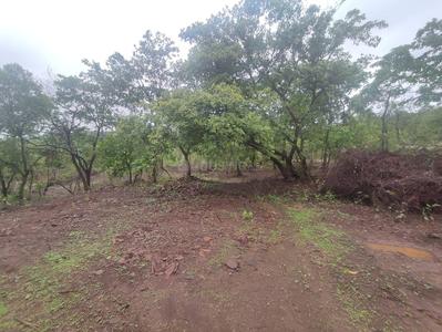 Trivikram Infra Residential Plot In Ulwe Mahamumbai Plot 1