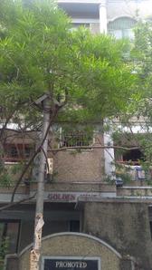 Project Image of 850.0 - 1200.0 Sq.ft 2 BHK Apartment for buy in Golden Hive