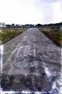 Project Images