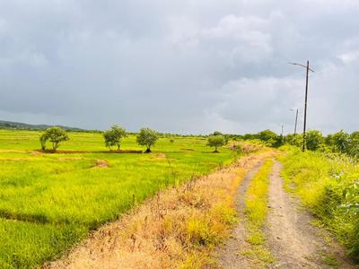 Project Image of 1000.0 - 10000.0 Sq.ft Residential Plot Plot for buy in Capstone Land Plots In Belondakhar