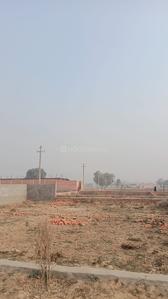 Project Image of 900.0 - 3600.0 Sq.ft Residential Plot Plot for buy in Dream Shree Shyam Kunj