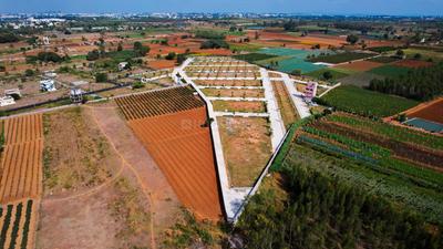 Project Image of 1300.0 - 12916.69 Sq.ft Residential Plot Plot for buy in Annciya Isha Serene