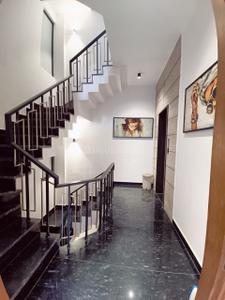 Project Images