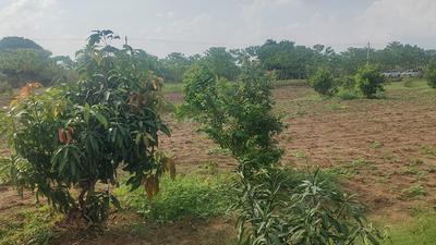 Project Image of 1620.0 - 3150.0 Sq.ft Residential Plot Plot for buy in Yugandhar RRR Riverside