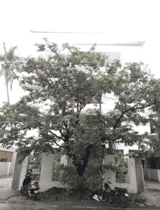 Project Image of 1400.0 - 1600.0 Sq.ft 3 BHK Apartment for buy in Gayatri Enclave