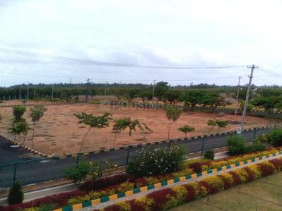 Project Image of 1200.0 - 4060.0 Sq.ft Residential Plot Plot for buy in Windsor Township Coral Country