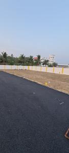 Palmspring Avenue Elevation 1