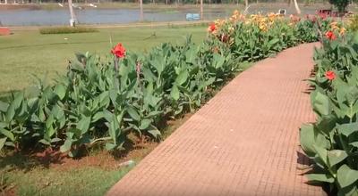 Project Image of 810.0 - 2160.0 Sq.ft Residential Plot Plot for buy in Subhagruha Maple Meadows Phase VI
