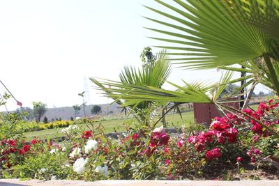 Project Image of 590.0 - 1500.0 Sq.ft Residential Plot Plot for buy in Fortune Golden Panorama