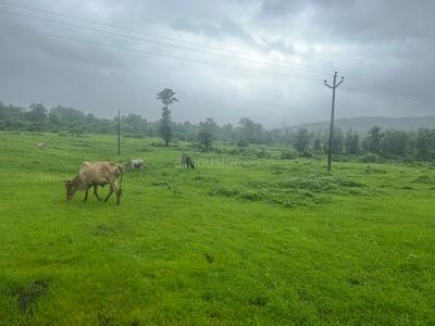 Gallery Cover Pic of Bhoomi Plots