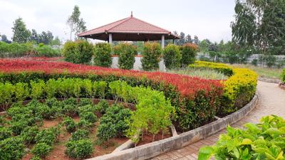Project Image of 1200.0 - 2400.0 Sq.ft Residential Plot Plot for buy in Sirimane Serenity