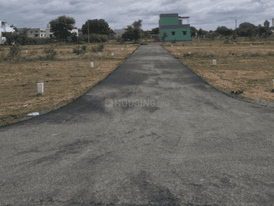 Project Images