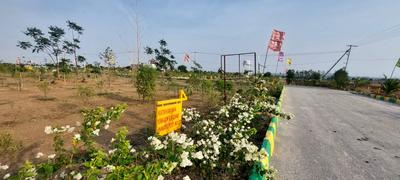 Project Image of 2178.0 - 5445.0 Sq.ft Residential Plot Plot for buy in PAMENA GREENS