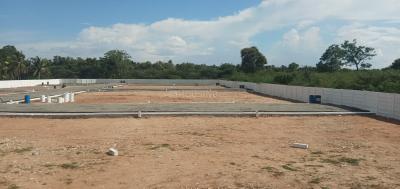 Project Images
