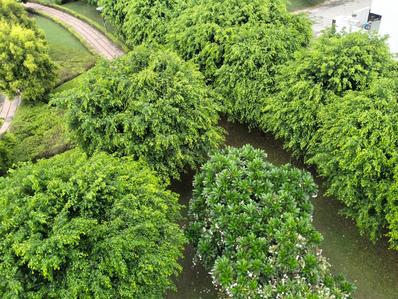 Project Image of 873.0 - 1495.0 Sq.ft Residential Plot Plot for buy in Ansal Town Yamuna Nagar