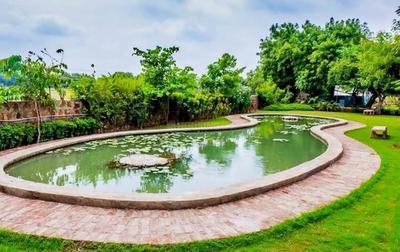 Project Image of 1080.0 - 9864.0 Sq.ft 1 BHK Villa for buy in Paghadi Gulab Weekend Farmhouses