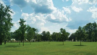 Project Image of 1062.61 - 4203.09 Sq.ft Residential Plot Plot for buy in Ahad Hills