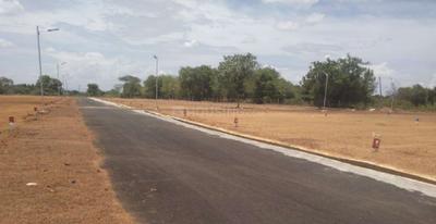 Project Images