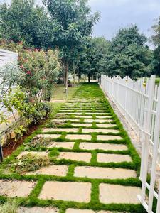 Project Image of 1410.0 - 2400.0 Sq.ft Residential Plot Plot for buy in MGS Shreela Airview Enclave