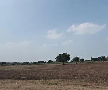 Project Image of 3595.15 - 48599.06 Sq.ft Residential Plot Plot for buy in Ridge Kshetra