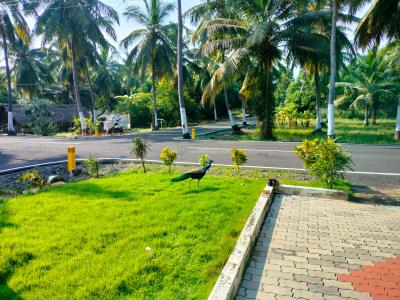 Project Image of 2400.0 - 9600.0 Sq.ft Residential Plot Plot for buy in Lereve