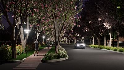 Project Image of 1200.0 - 2400.0 Sq.ft Residential Plot Plot for buy in Brigade Cherry Blossom