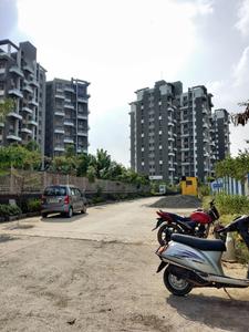 Axis Whistling Meadows D Images for Project 1