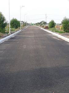 Project Image of 1512.0 - 2250.0 Sq.ft Residential Plot Plot for buy in Sree City