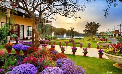 Project Image of 1569 Sq.ft 3.5 BHK Builder Floor for sale in Sector 32 for Rs. 25000000