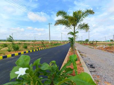 Project Image of 1485.0 - 5733.0 Sq.ft Residential Plot Plot for buy in Glentree Pharma County