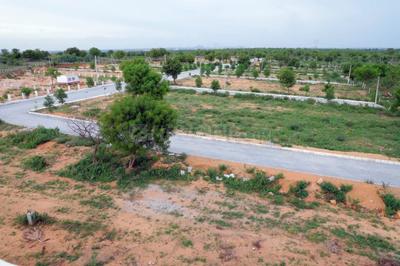 Project Image of 2160.0 - 5751.18 Sq.ft Residential Plot Plot for buy in Pragati Serenia County