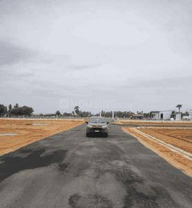 Project Images