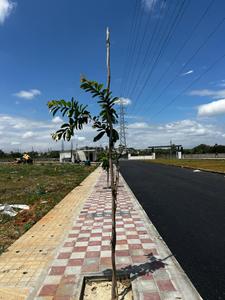 Project Image of 1200.0 - 1500.0 Sq.ft Residential Plot Plot for buy in Jublee Hills