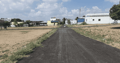 Project Images