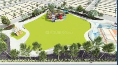 Premium Iris Dreamzz Landscape Garden and Tree Planting 2
