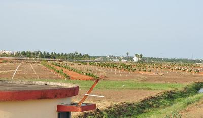 Project Image of 1800.0 - 4500.0 Sq.ft Residential Plot Plot for buy in Aditya Sri Ram Paradise