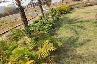 Project Image of 990.0 - 5382.0 Sq.ft Residential Plot Plot for buy in Sun Villa Plots