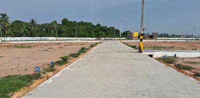 Project Images