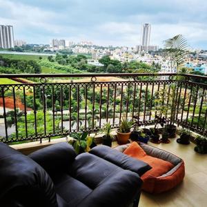 Project Image of 1280.0 - 1330.0 Sq.ft 3 BHK Apartment for buy in DK Janak Regency