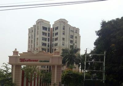 Project Image of 1448.0 - 1916.0 Sq.ft 2 BHK Apartment for buy in Mayflower Caladium