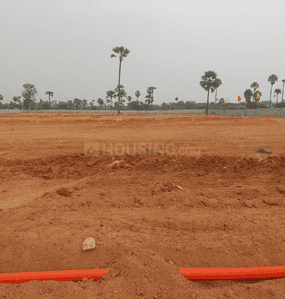 Project Image of 167 Sq.ft Residential Plot / Land for sale in Kongara Kalan for Rs. 5344000