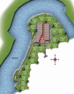 Project Image of 875.0 - 4252.0 Sq.ft Residential Plot Plot for buy in Coral Amazon
